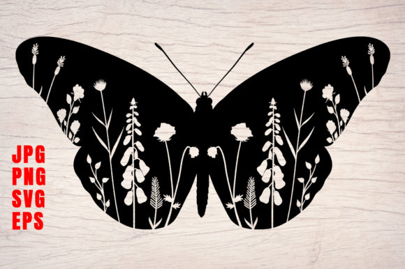 Floral Butterfly Art Butterflies Design